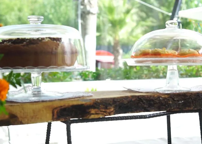 Bed & Breakfast Parco D'arte Altart